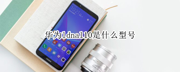 华为ldnal10是什么型号