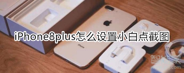 iPhone8plus怎么設(shè)置小白點(diǎn)截圖