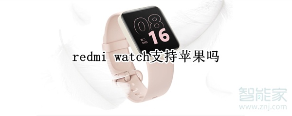 redmi watch支持苹果吗