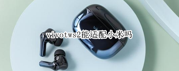 vivotws2能適配小米嗎