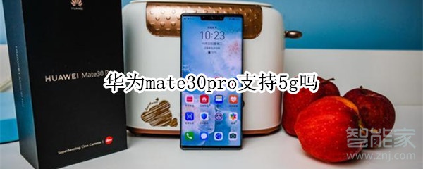 華為mate30pro支持5g嗎