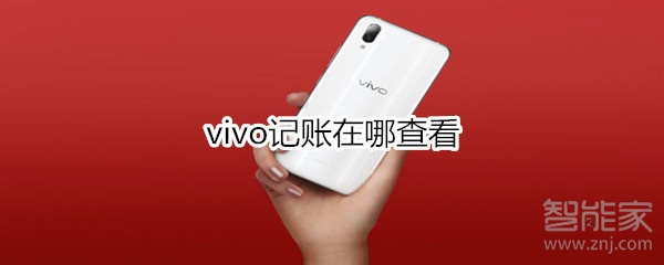 vivo記賬在哪查看