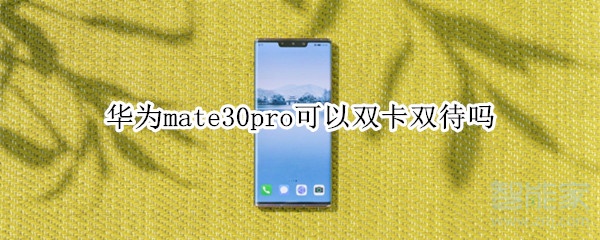 華為mate30pro可以雙卡雙待嗎