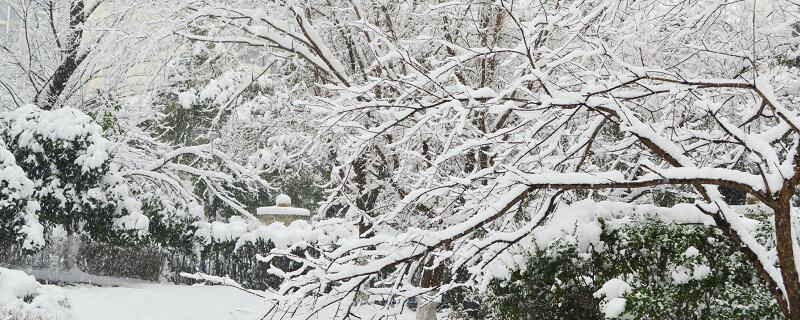 描寫雪景的句子 描寫雪景的句子有哪些