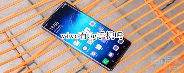 vivo有5g手机吗