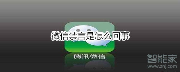 微信禁言是怎么回事