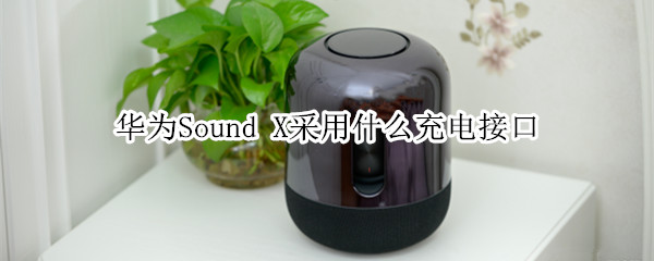 華為Sound X采用什么充電接口