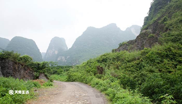 岩溶地貌的成因 岩溶地貌怎么形成