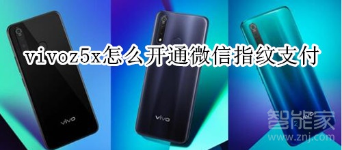 vivoz5x怎么開(kāi)通微信指紋支付