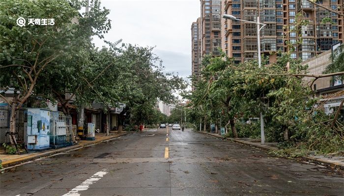 台风停课信号是什么颜色 台风预警信号哪级停课