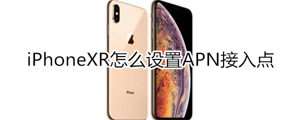 iphonexr設(shè)置apn