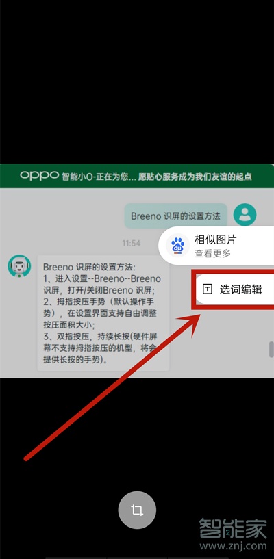 opporeno5pro怎么提取文字