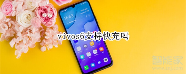 vivos6支持快充嗎