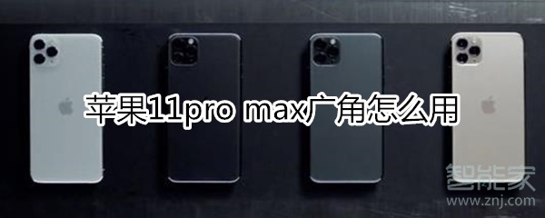 蘋果11pro max廣角怎么用