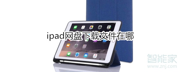 ipad网盘下载文件在哪