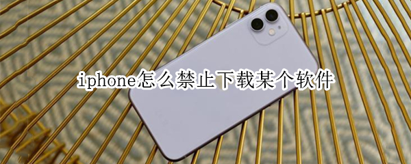 iphone怎么禁止下载某个软件