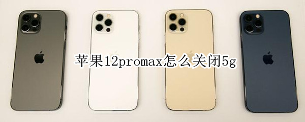 苹果12promax怎么关闭5g