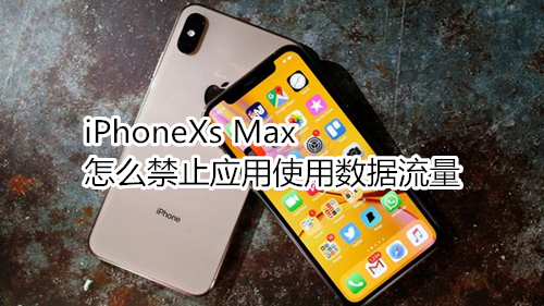 iPhoneXs Max怎么禁止应用使用数据流量