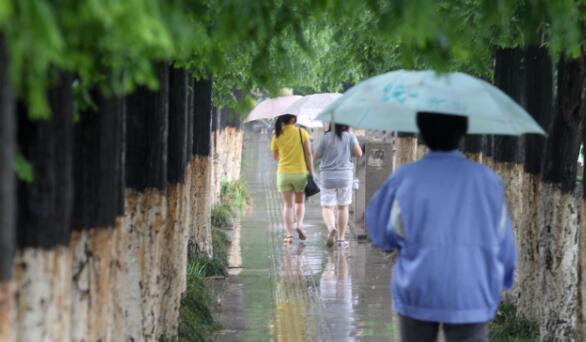 梅雨季注意事項 梅雨天氣要注意些什么