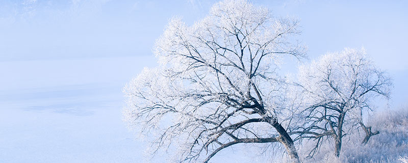 下雪发朋友圈短句 下雪发朋友圈短句有哪些