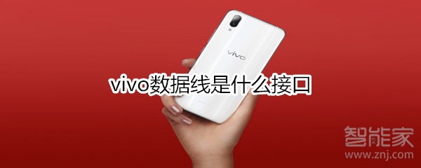 vivo数据线是什么接口