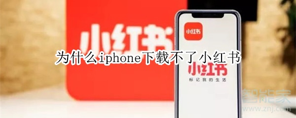 为什么iphone下载不了小红书