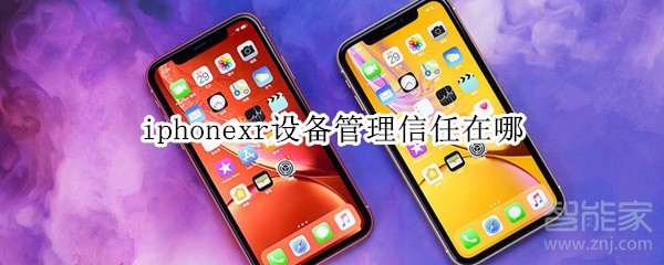 iphonexr設(shè)備管理信任在哪