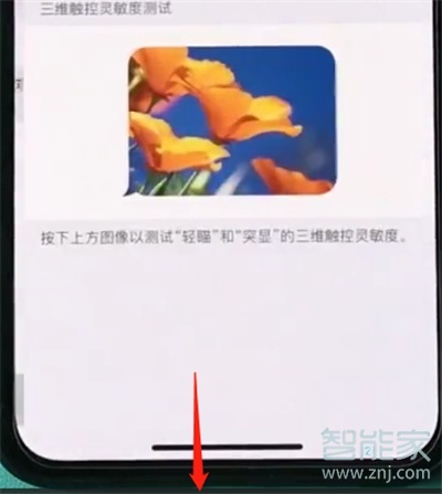 iphone11pro怎么開啟半屏功能