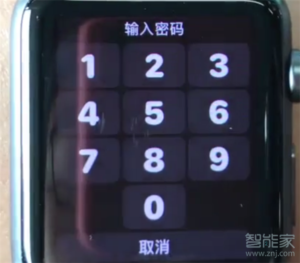 Apple Watch Series 5怎么重新设置密码