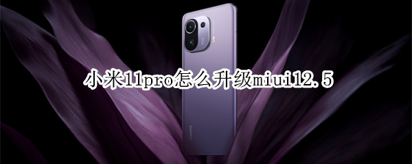 小米11pro怎么升級miui12.5