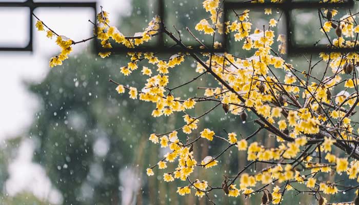 雨,好像停了出自哪里 雨，好像停了是哪個(gè)的