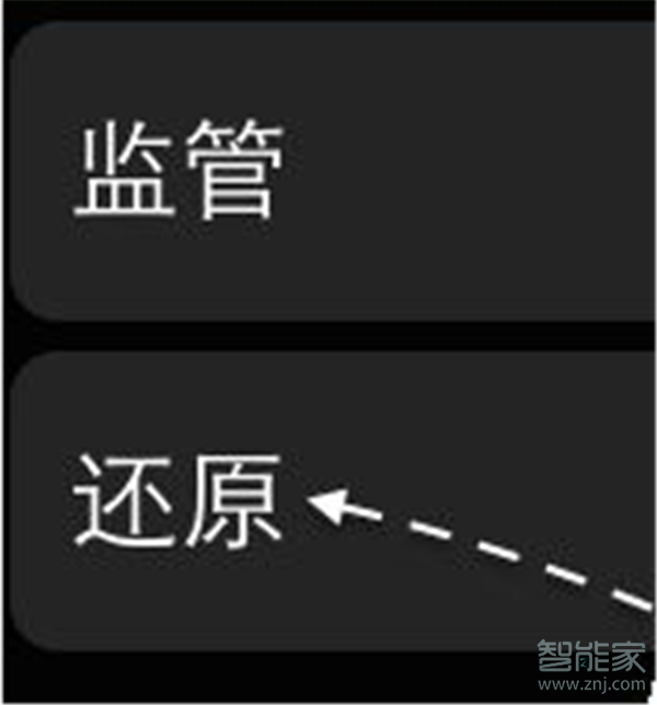 Apple Watch Series 5怎么恢復(fù)出廠設(shè)置