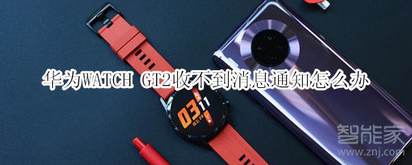 華為WATCH GT2收不到消息通知怎么辦