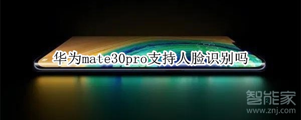 華為mate30pro支持人臉識別嗎