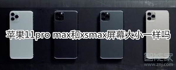 蘋果11pro max和xsmax屏幕大小一樣嗎