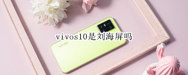 vivos10是刘海屏吗