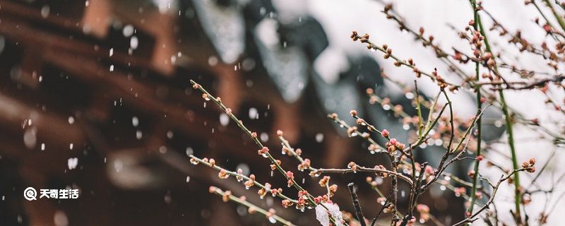 雨季是几月份 雨季指几月到几月