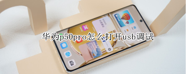 華為p50pro怎么打開(kāi)usb調(diào)試