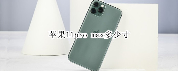 蘋果11pro max多少寸