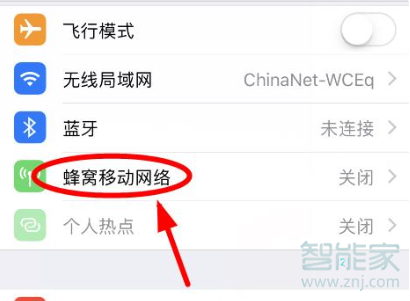 iphonex运营商设置在哪