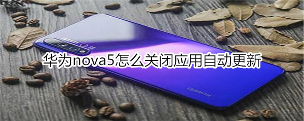 华为nova5怎么关闭应用自动更新