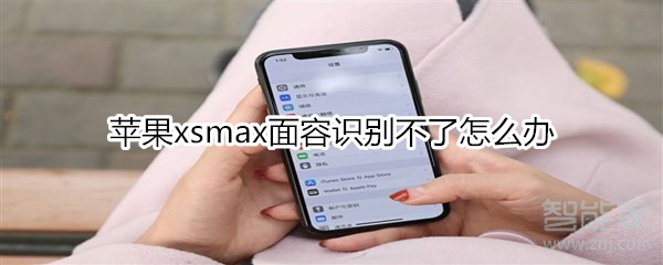 蘋果xsmax面容識別不了怎么辦