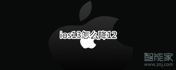 ios13怎么降12