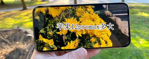 蘋果12promax多大