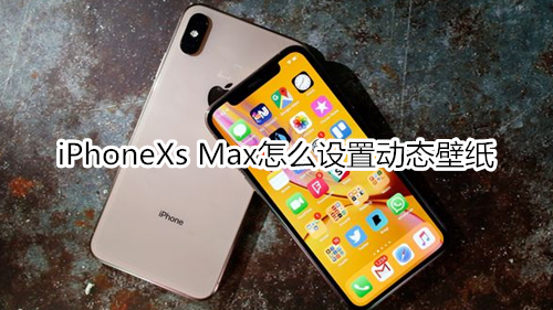 iPhoneXs Max怎么設置動態(tài)壁紙