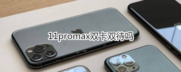 11promax双卡双待吗