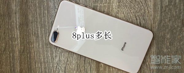 8plus多长