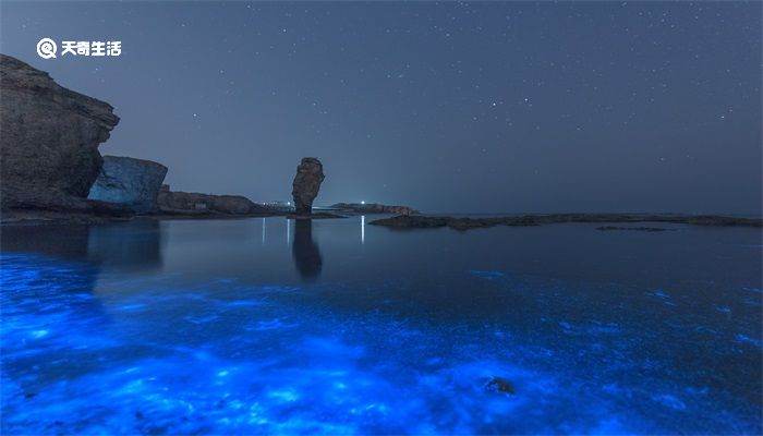 蓝眼泪是怎么形成的 海水蓝眼泪是怎么形成的