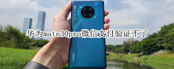 华为mate30pro微信支付验证不了