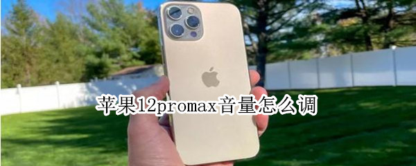 苹果12promax音量怎么调